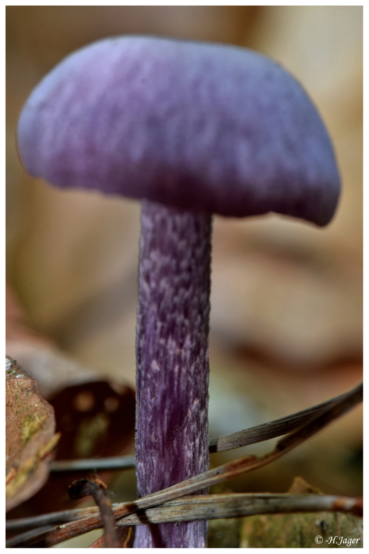 DSC_9259