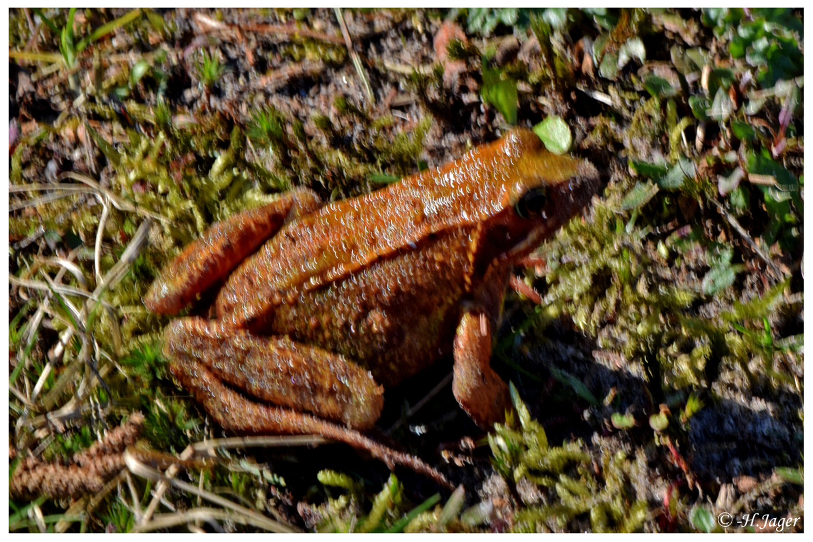 DSC_6819
