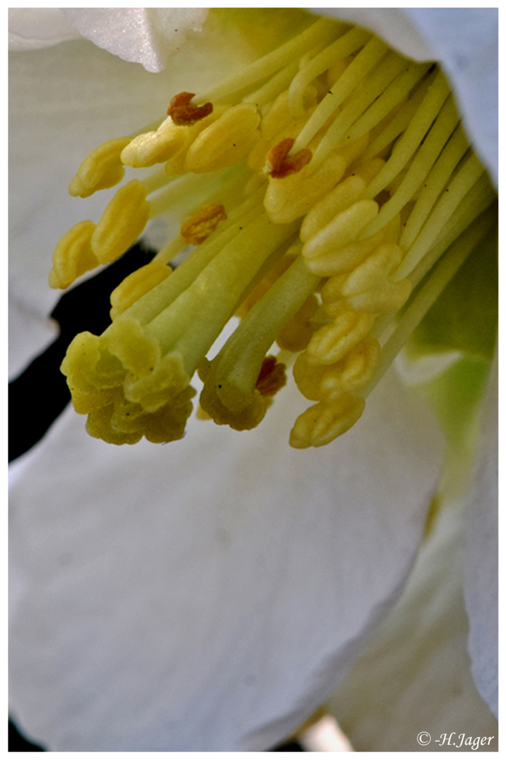 DSC_6742