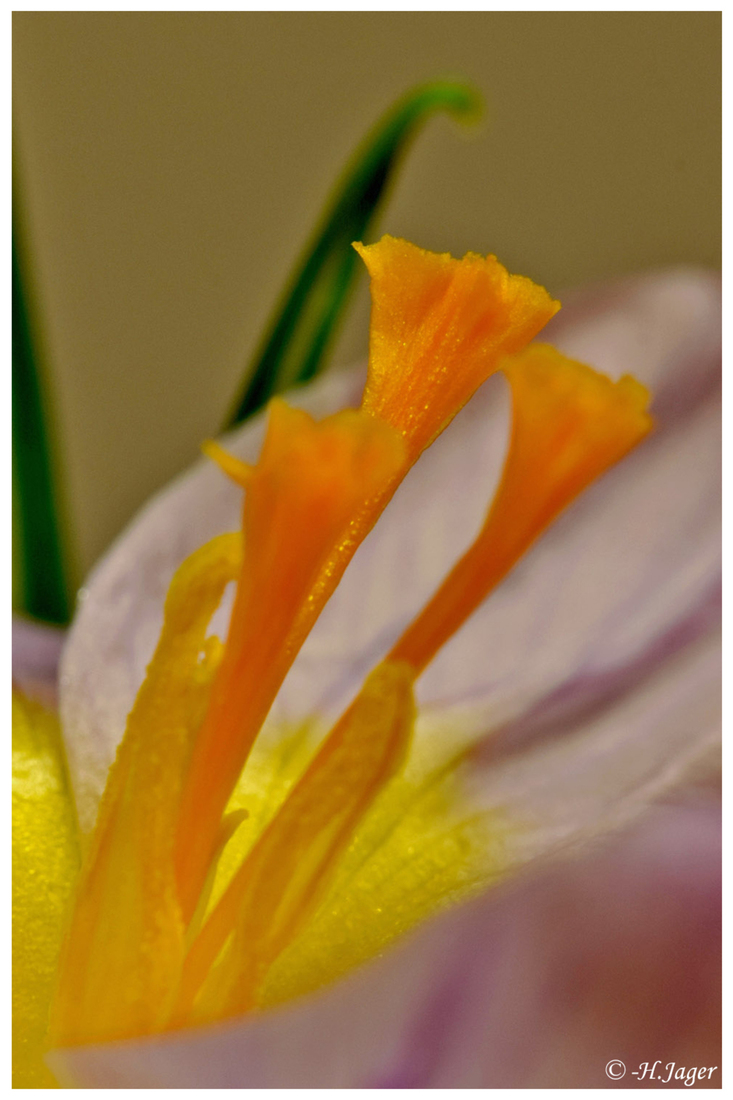 DSC_6368