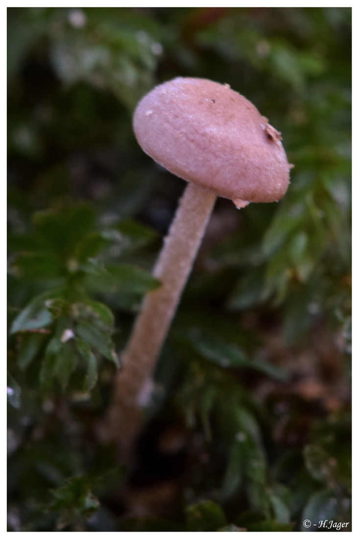 DSC_0017