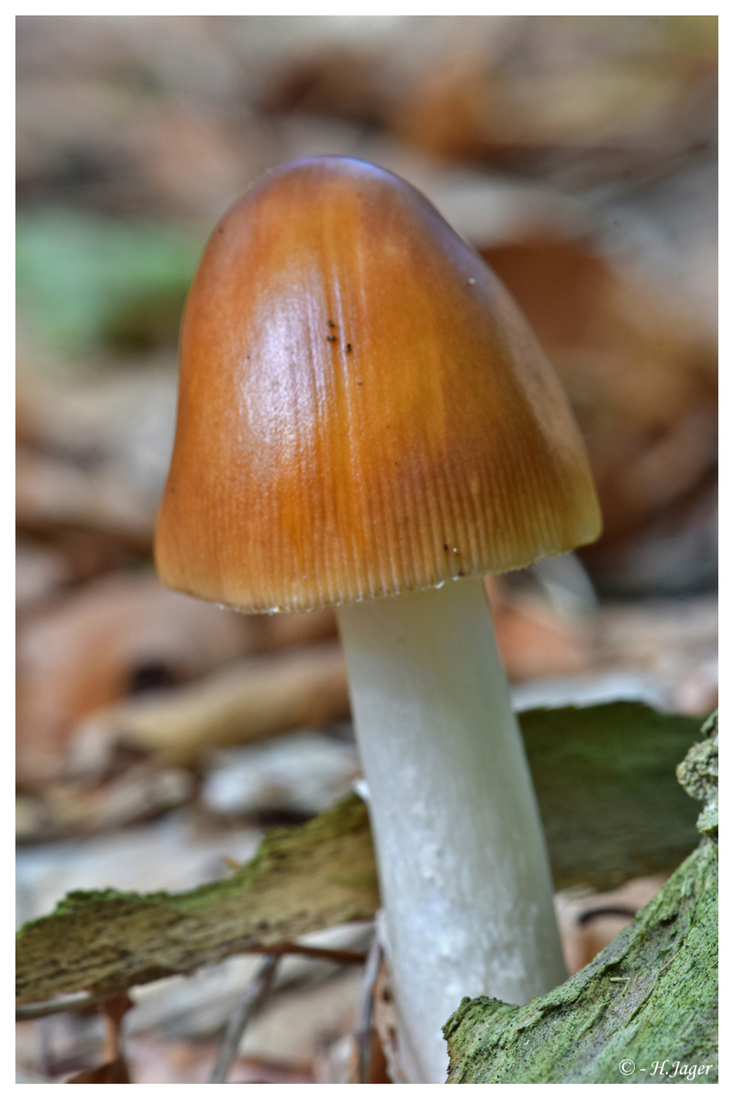DSC_9603