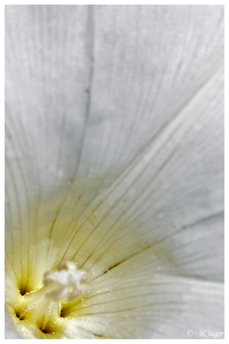 DSC_8365
