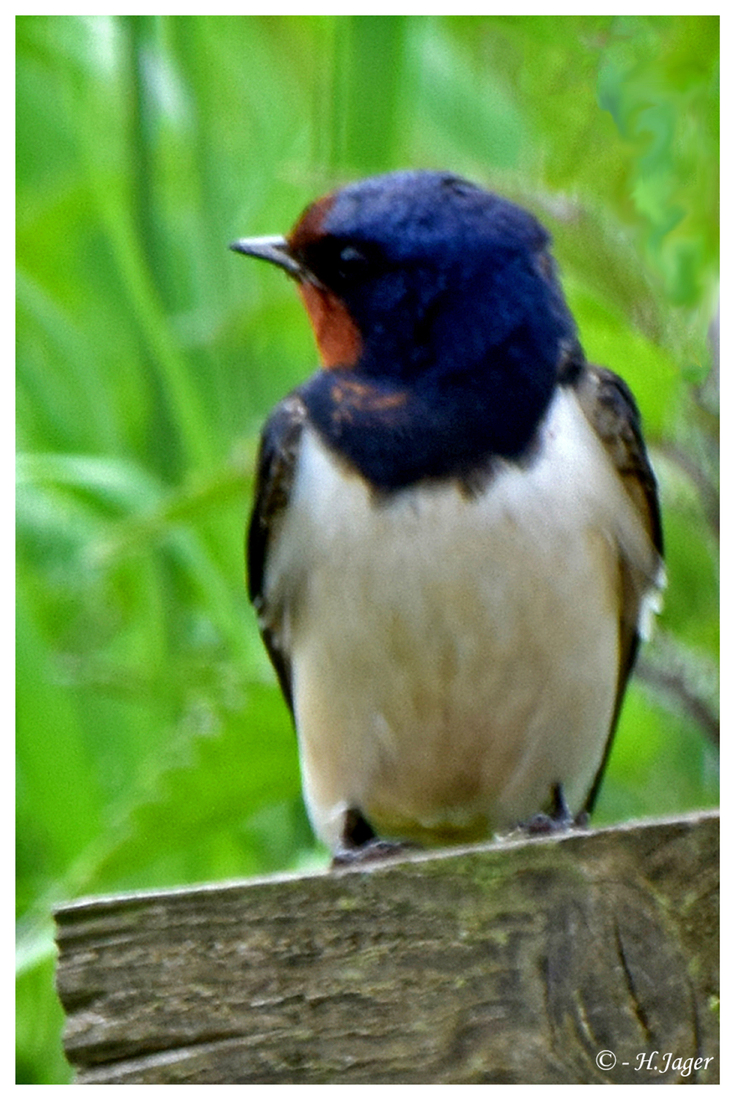 DSC_3128