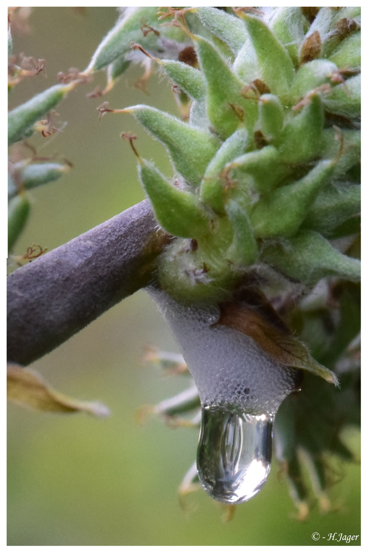 DSC_2085