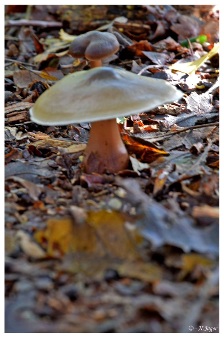 DSC_7695