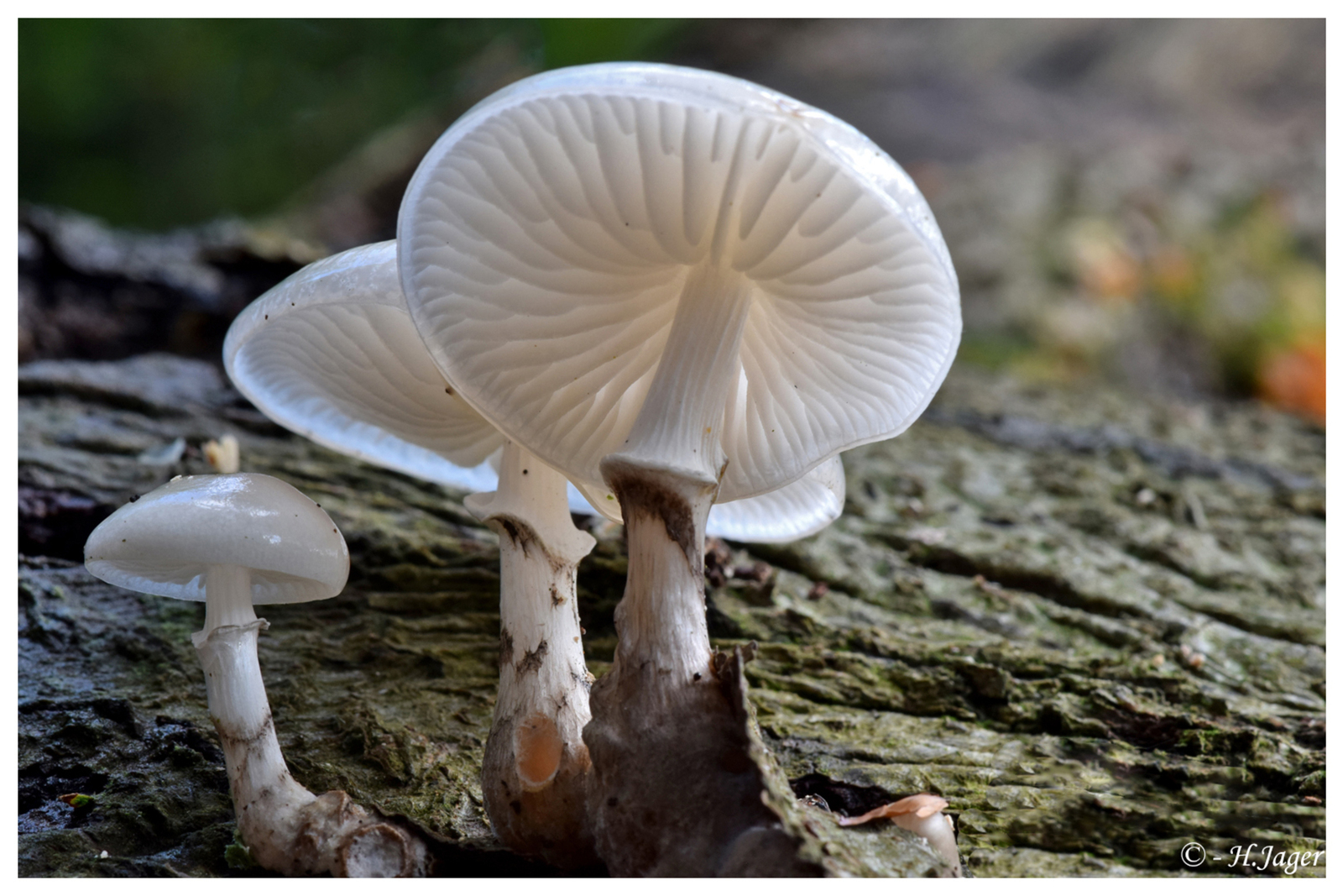 DSC_7657