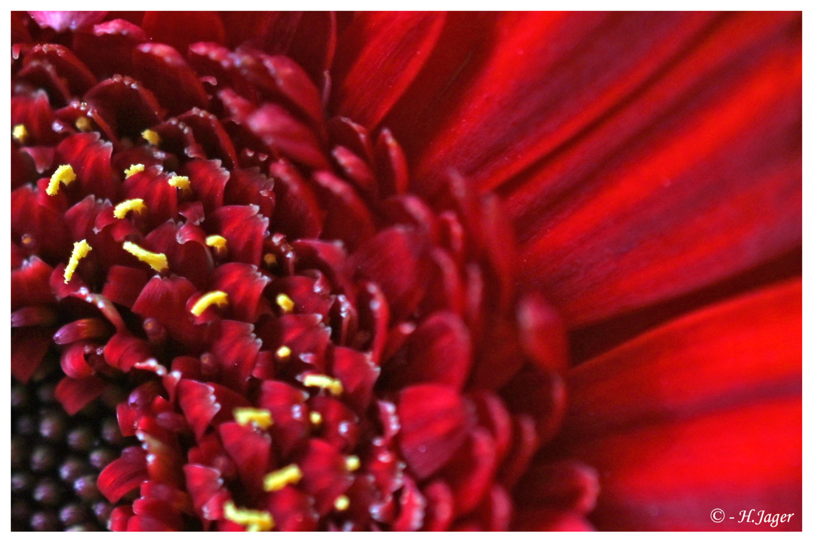 ZFC_0048 - B