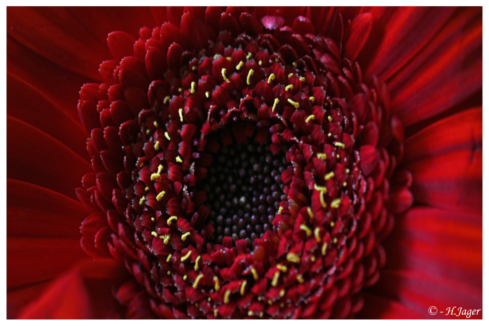 ZFC_0048
