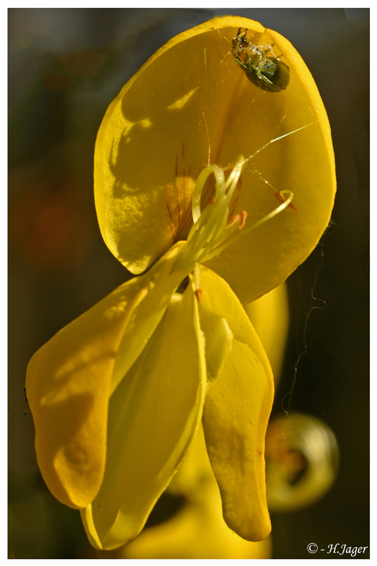 ZFC_0481