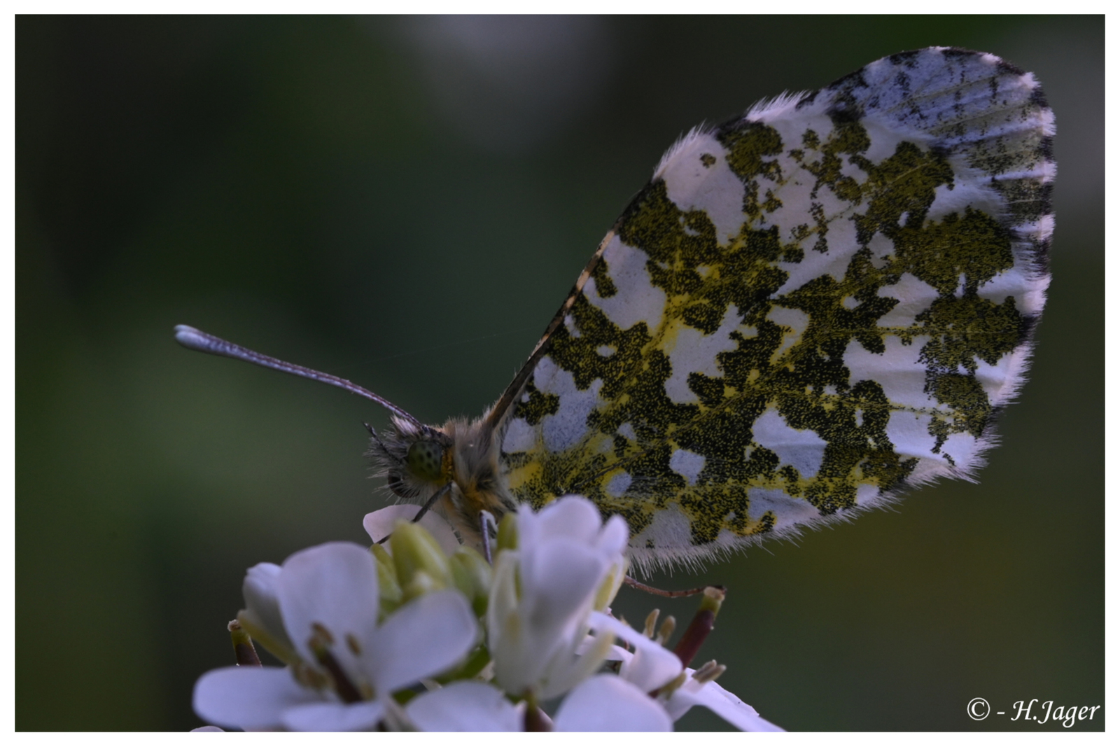ZFC_0683