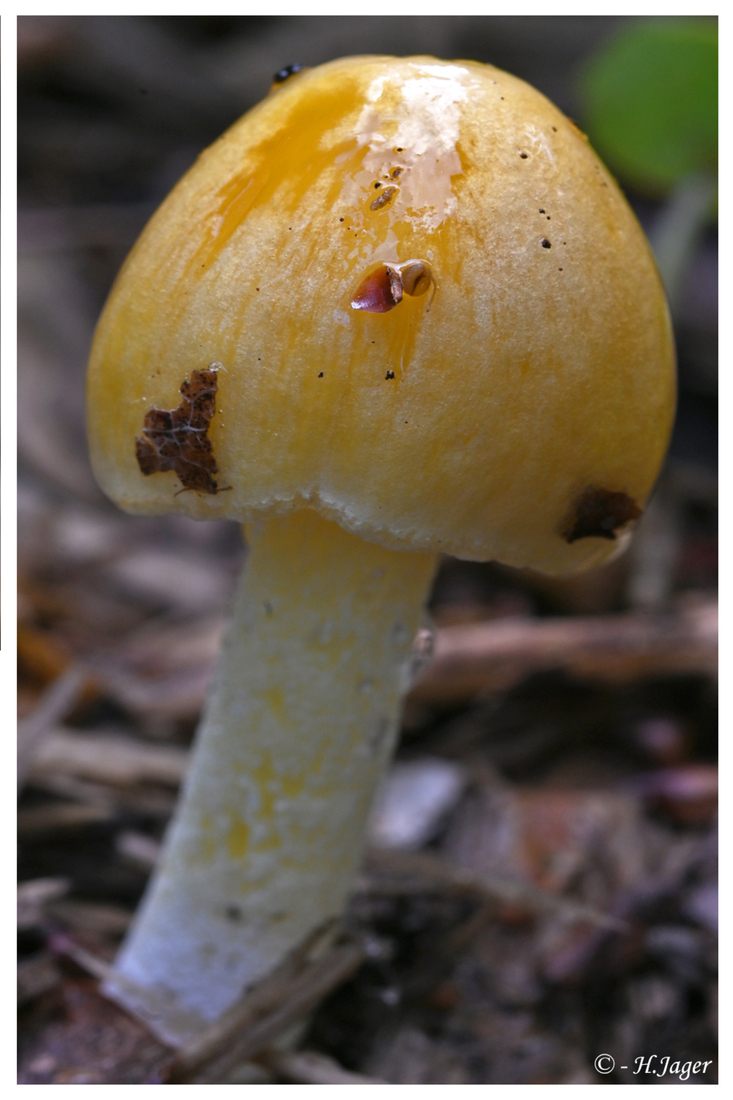 ZFC_1741