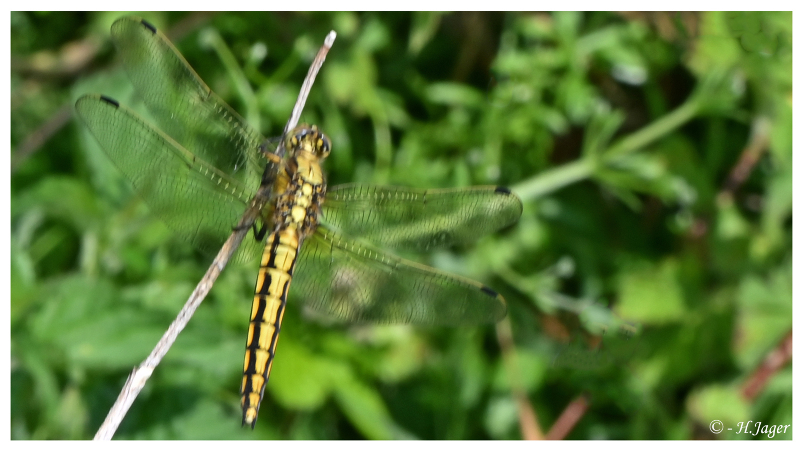 ZFC_2376