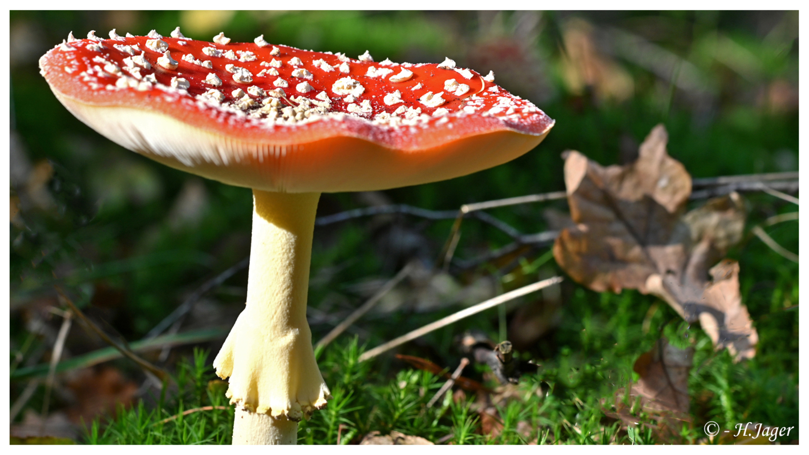ZFC_6134