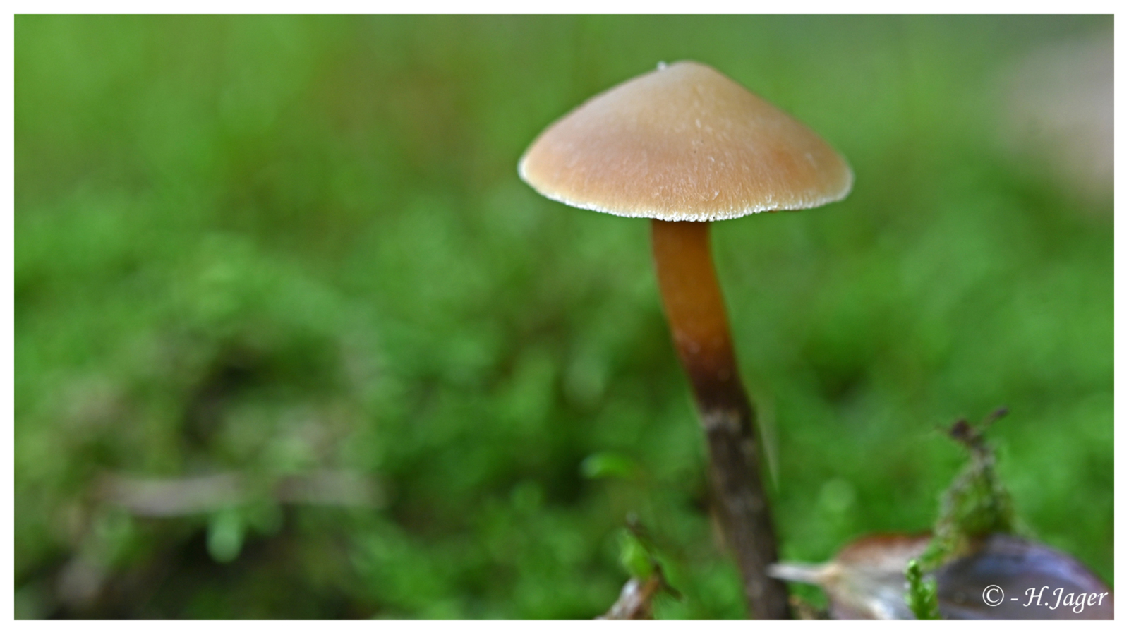 ZFC_6143