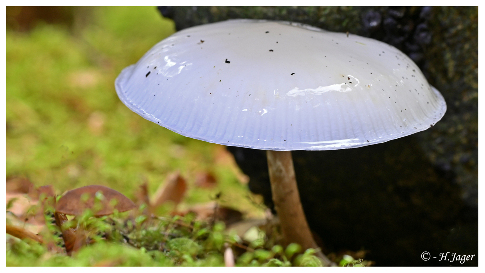 ZFC_6236