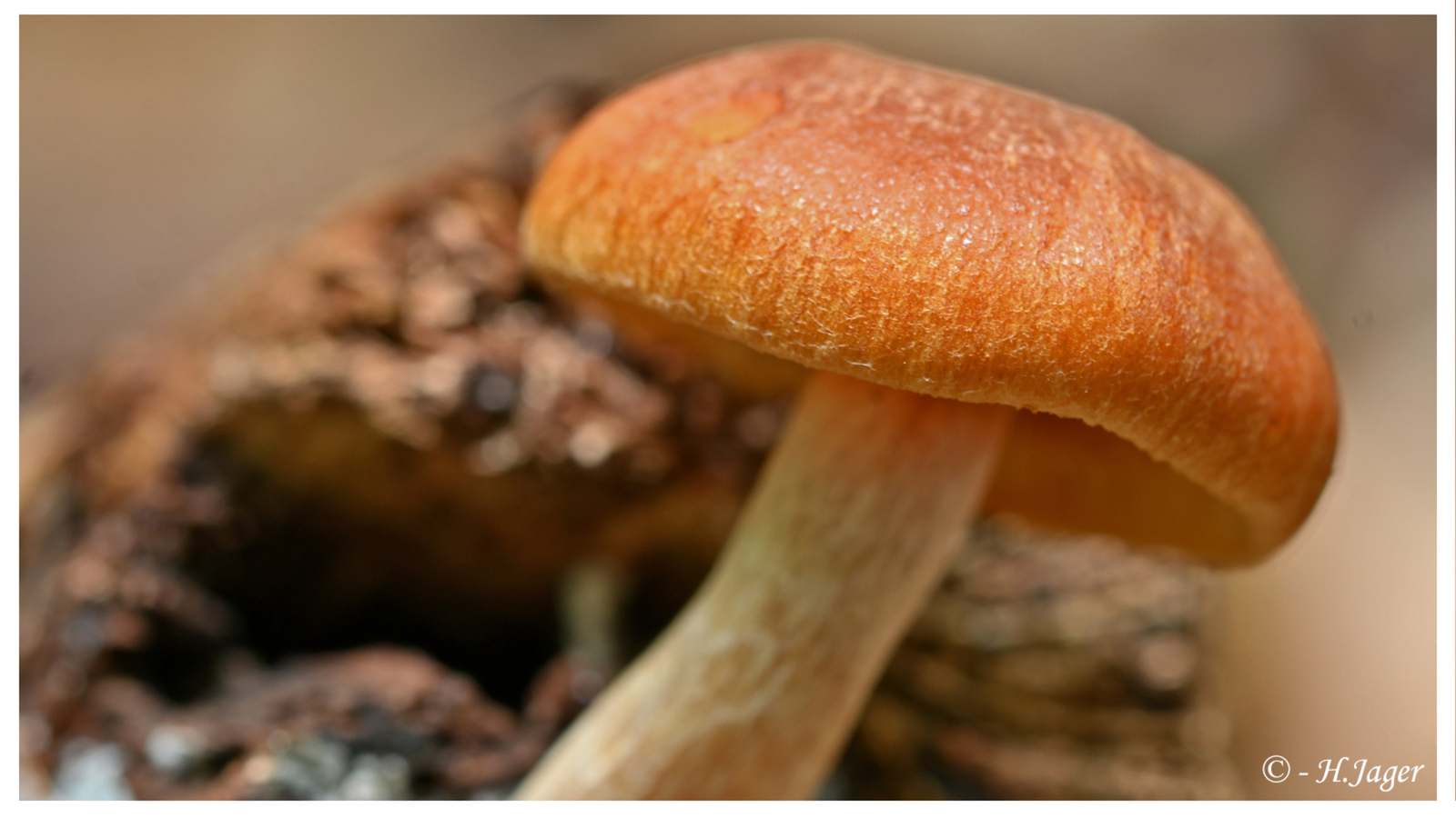ZFC_6271