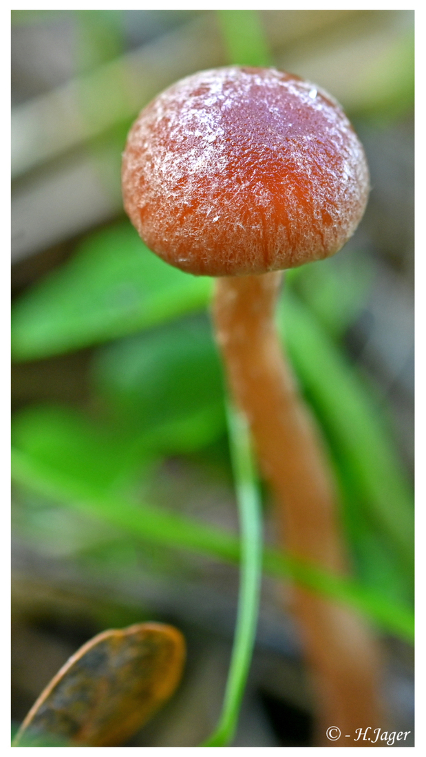 ZFC_6342
