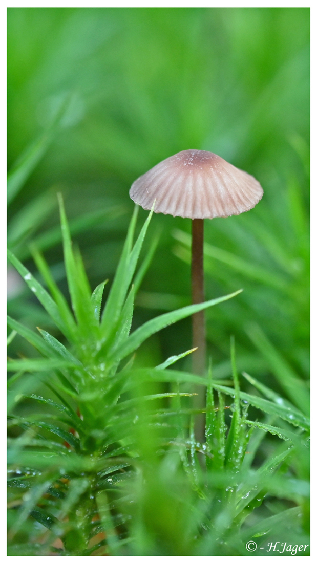 ZFC_6367