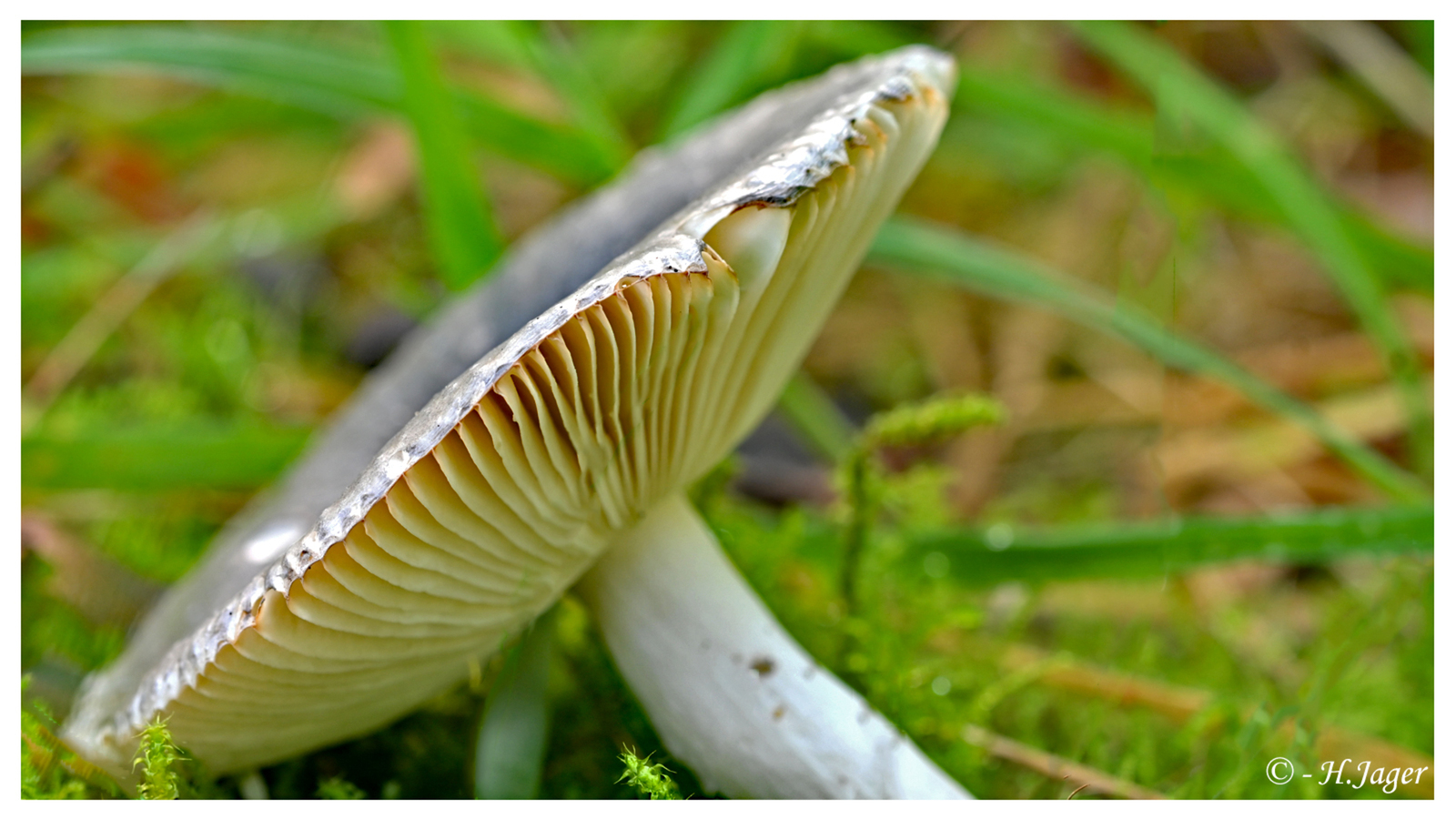 ZFC_6405