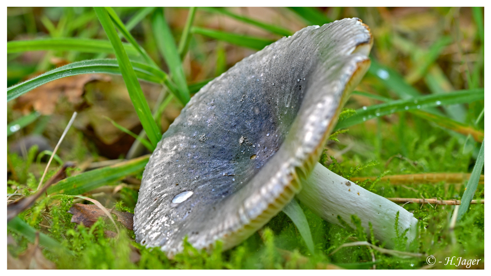 ZFC_6406