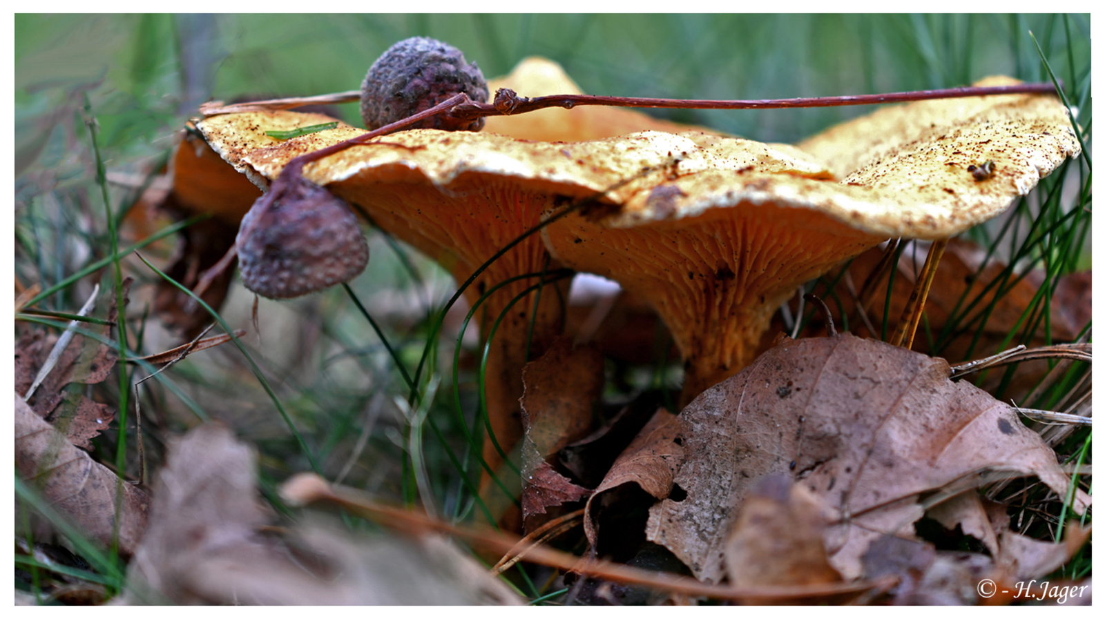 ZFC_6873