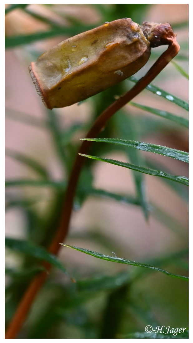 ZFC_7873