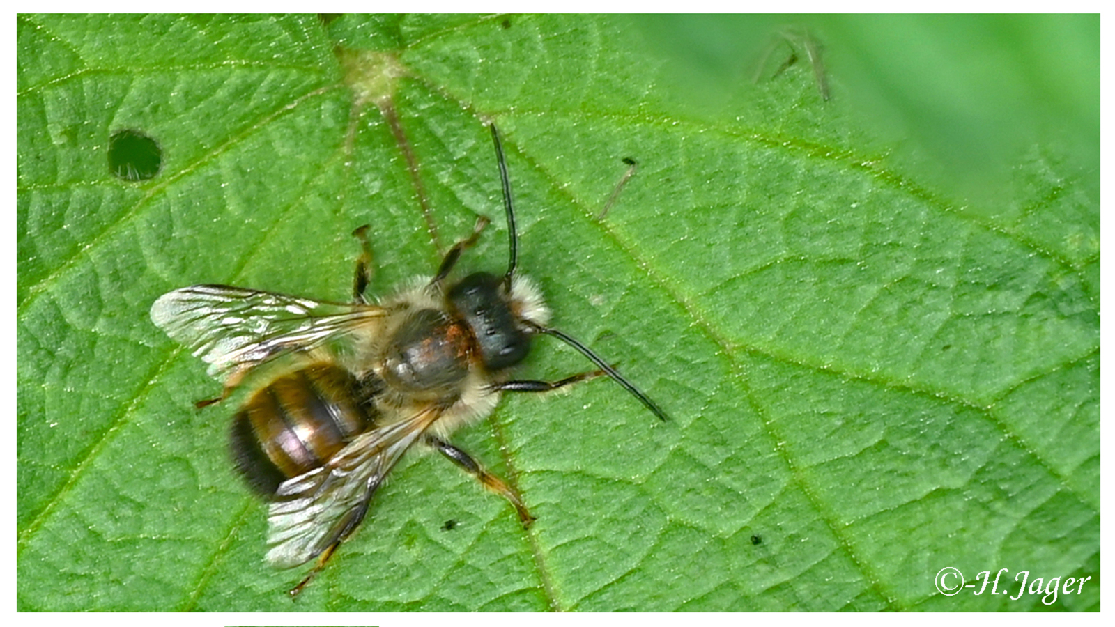 ZFC_9275