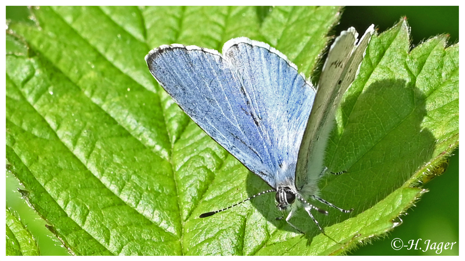 ZFC_9478