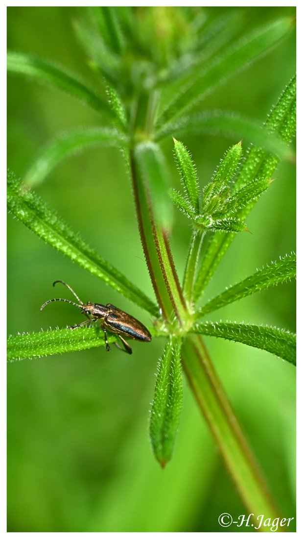 ZFC_0106