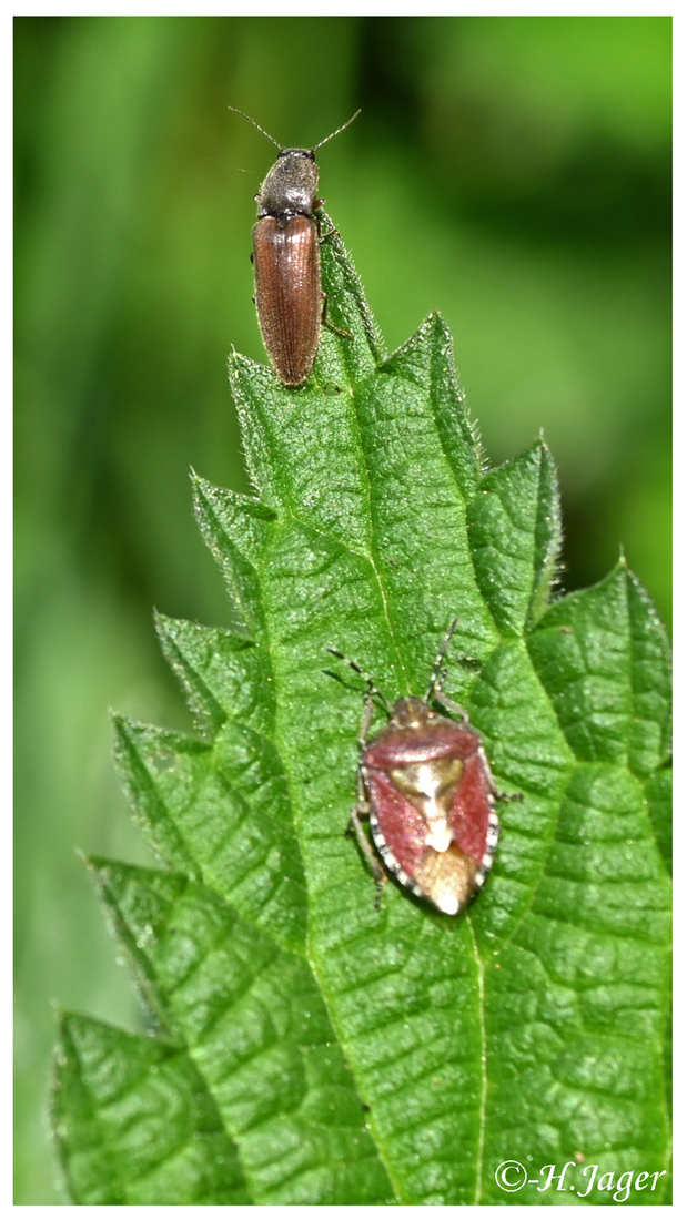 ZFC_0194