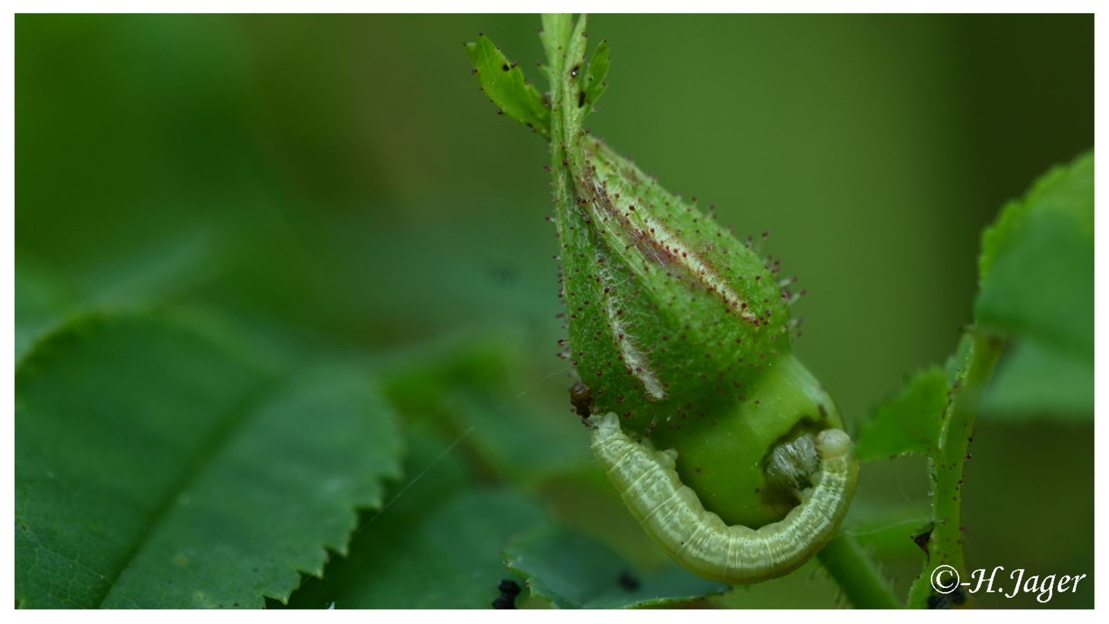 ZFC_0228