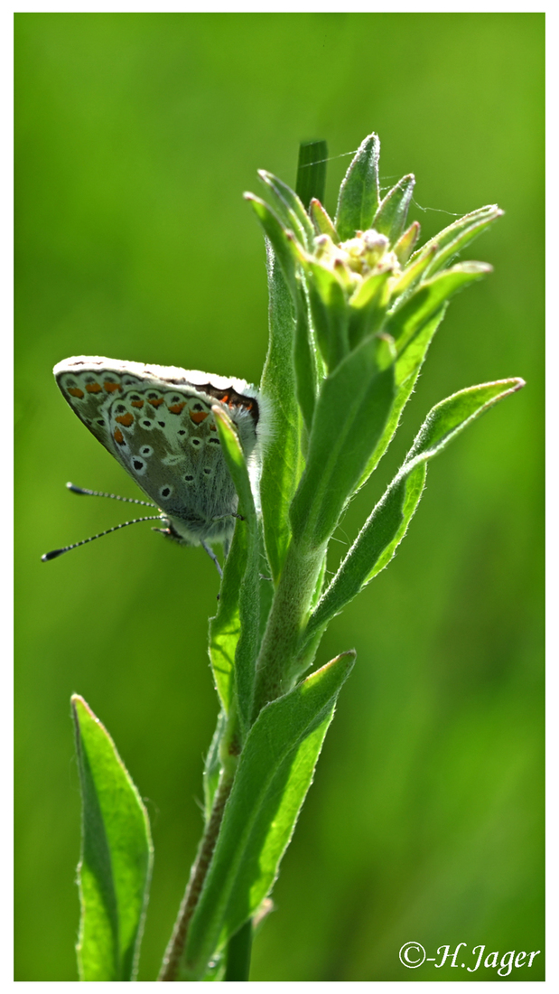 ZFC_0481