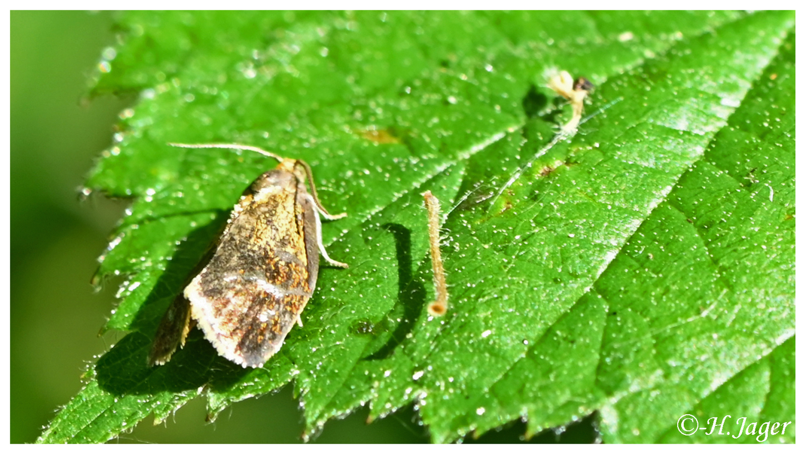 ZEC_0848