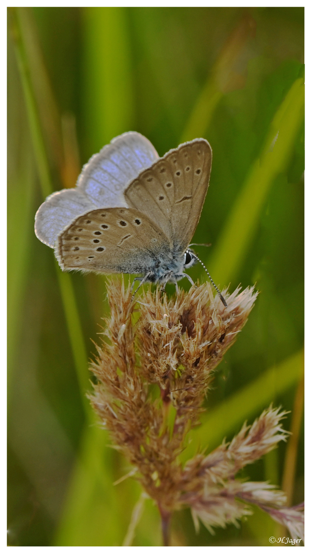 ZFC_3356