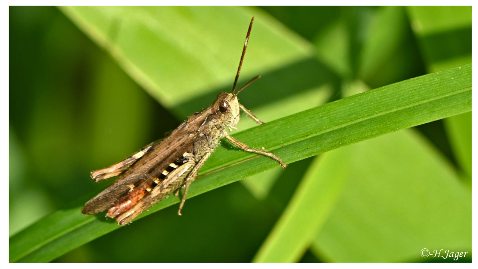 ZFC_3785