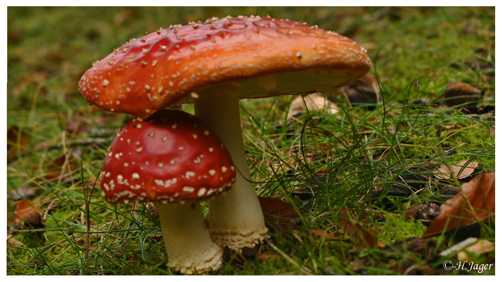 ZFC_4581