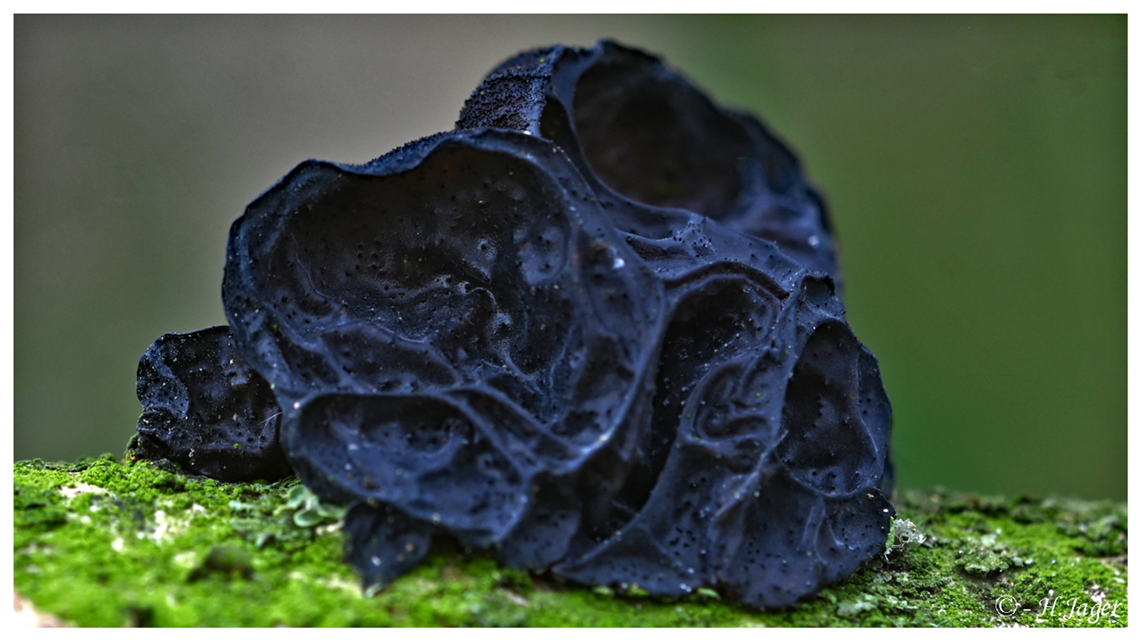ZFC_5488
