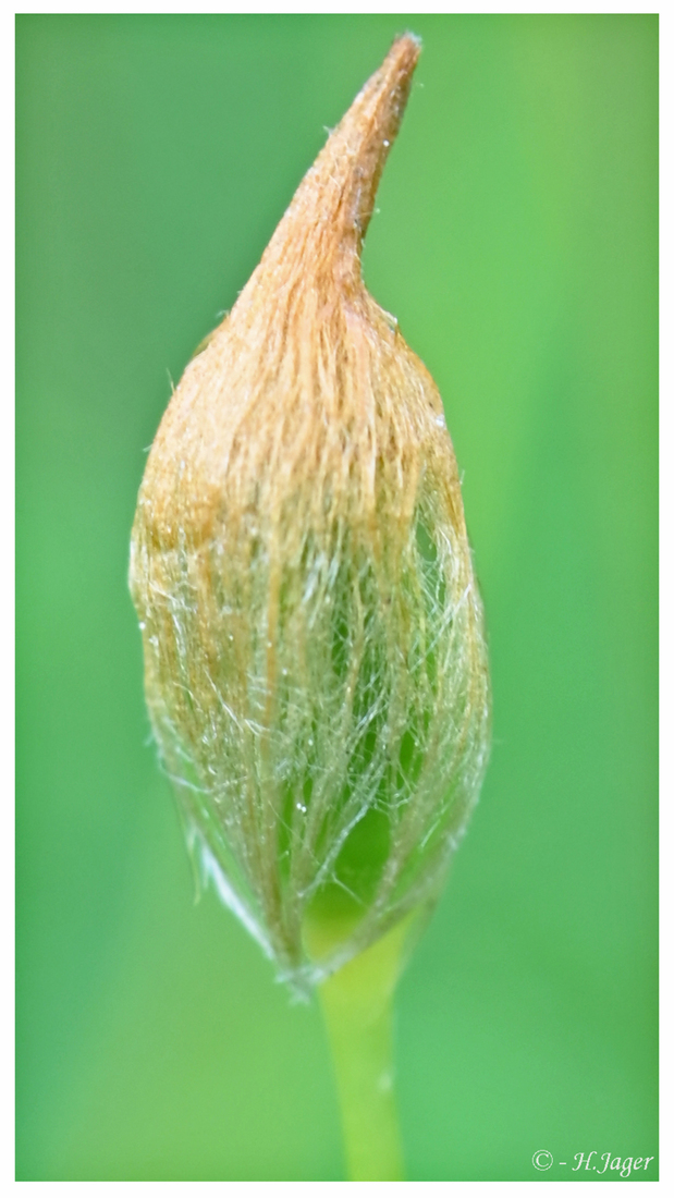 ZFC_7208