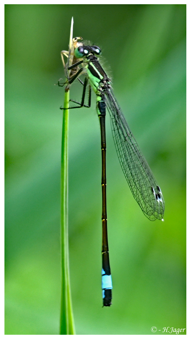 ZFC_7574