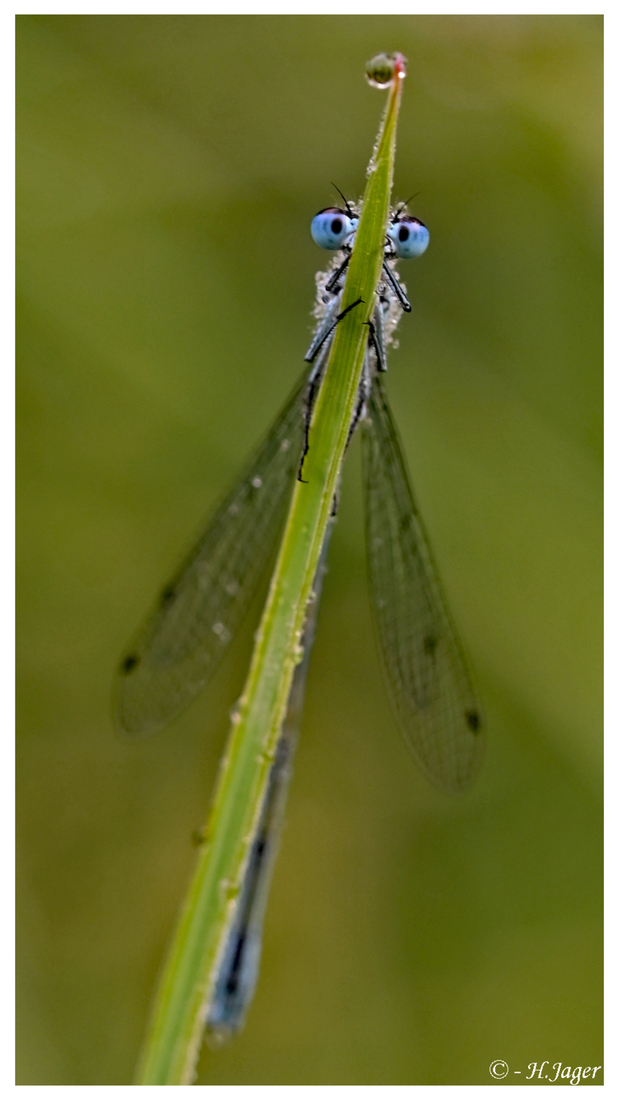 ZFC_7663