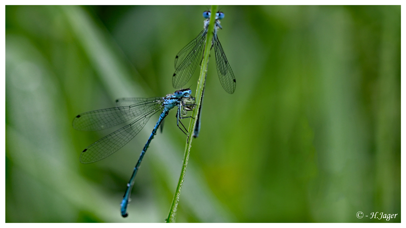 ZFC_7667