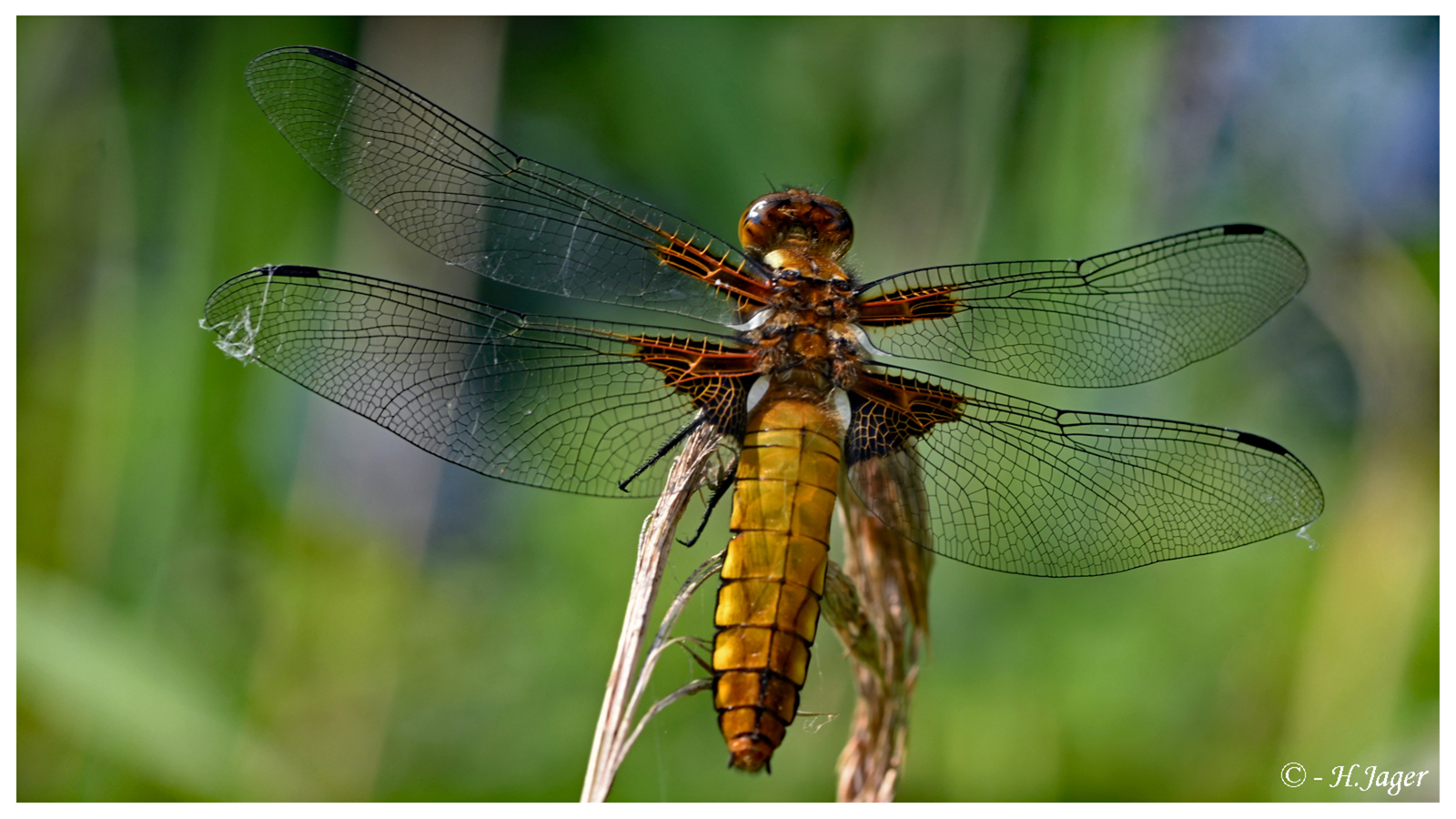 ZFC_7759