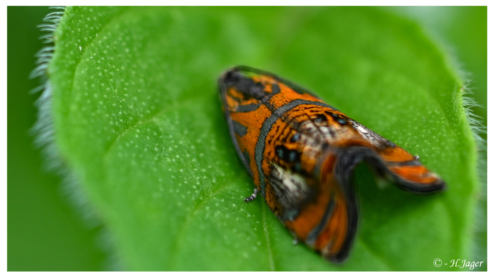 ZFC_7844