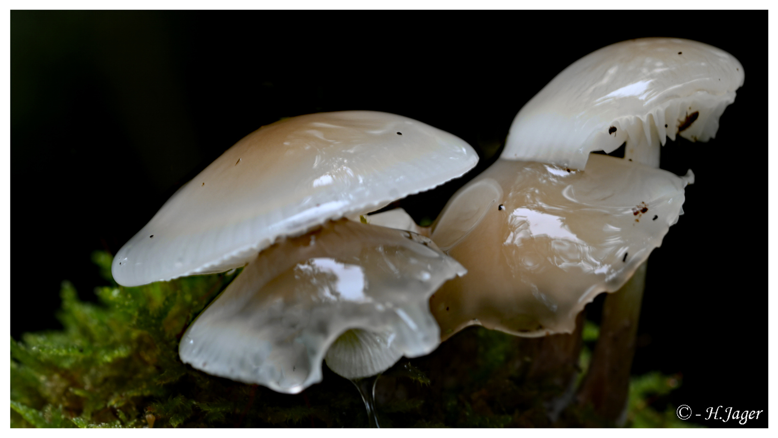 ZFC_0716