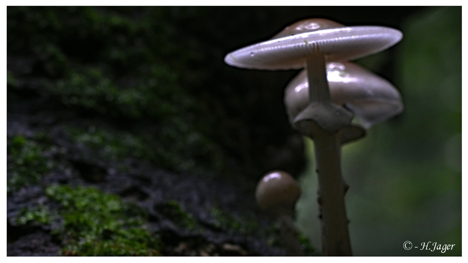 ZFC_0729