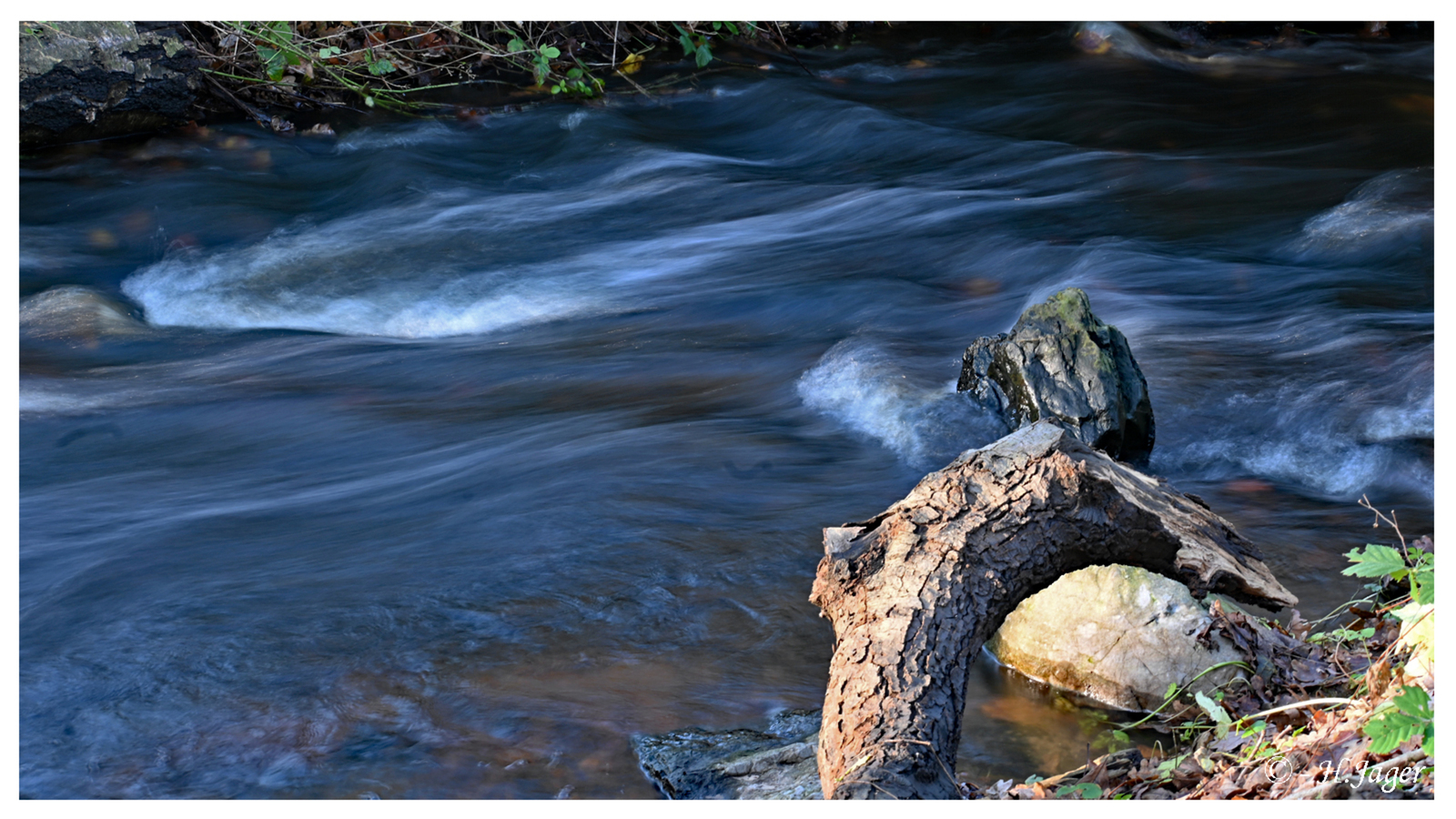 ZFC_1167