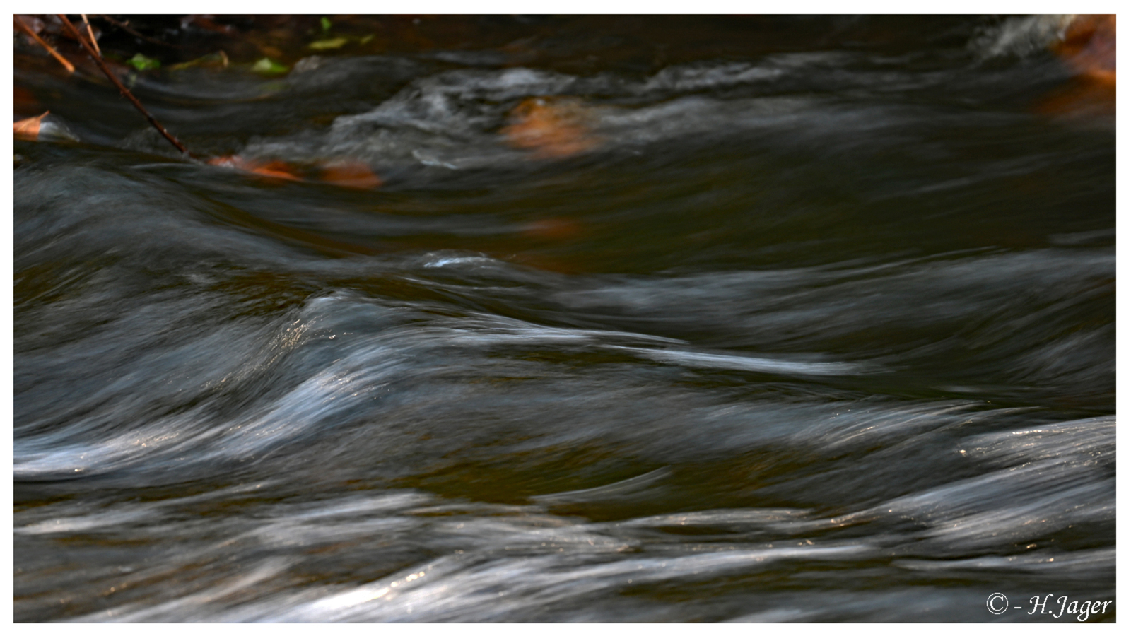 ZFC_1173