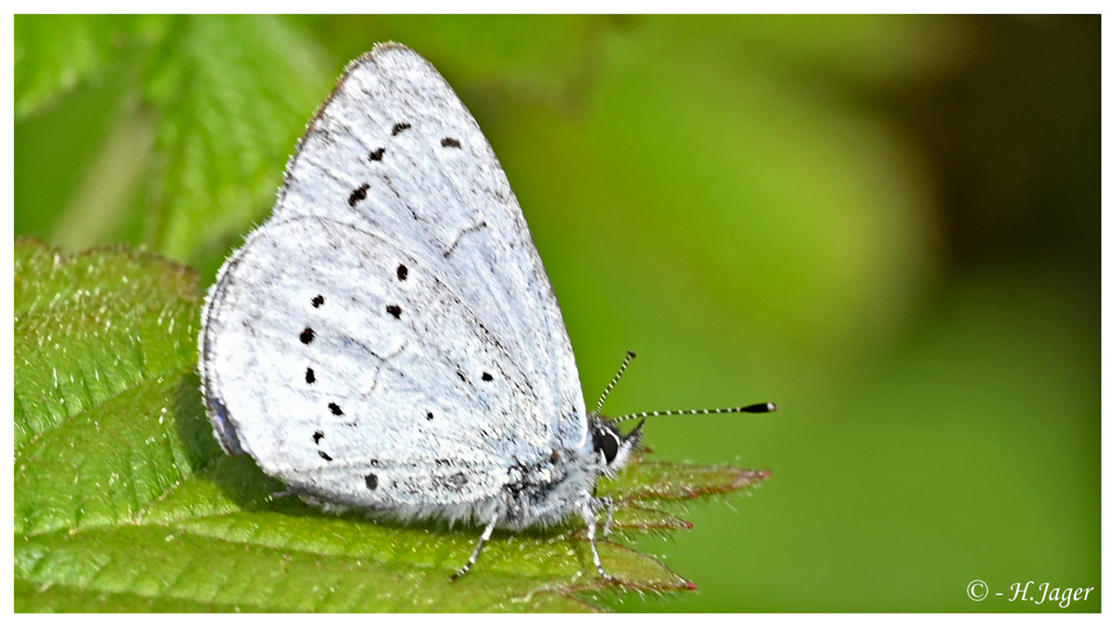 ZFC_6559