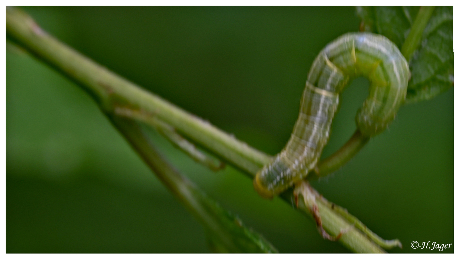 ZFC_0085